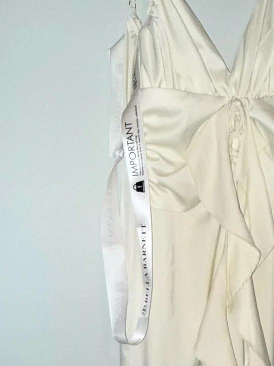 Bella Barnett Yvonne Sleeveless V-Neck Flowers Flounce Maxi Dress - Picture 2 of 4